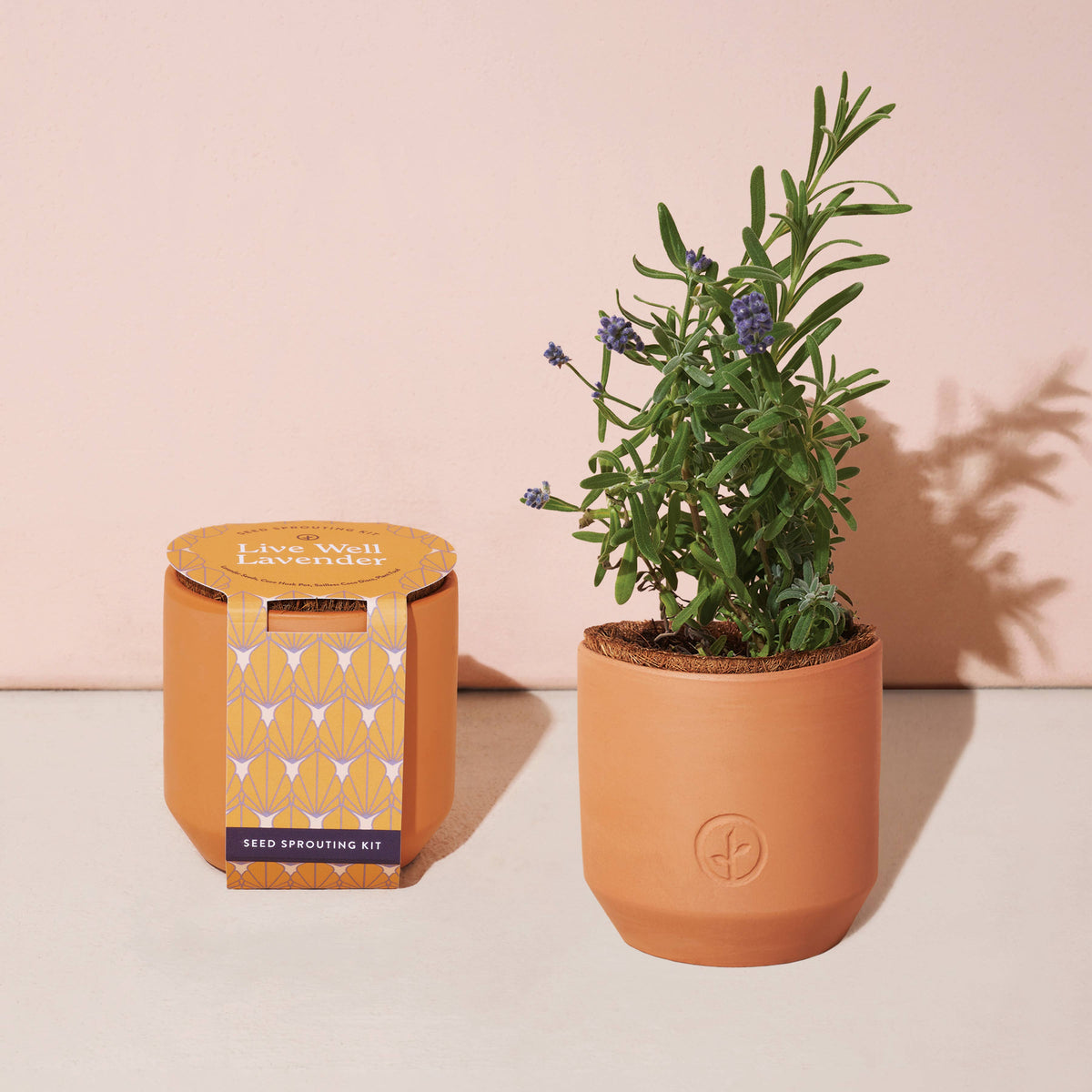 tiny-terracotta-grow-kits-pleasantries