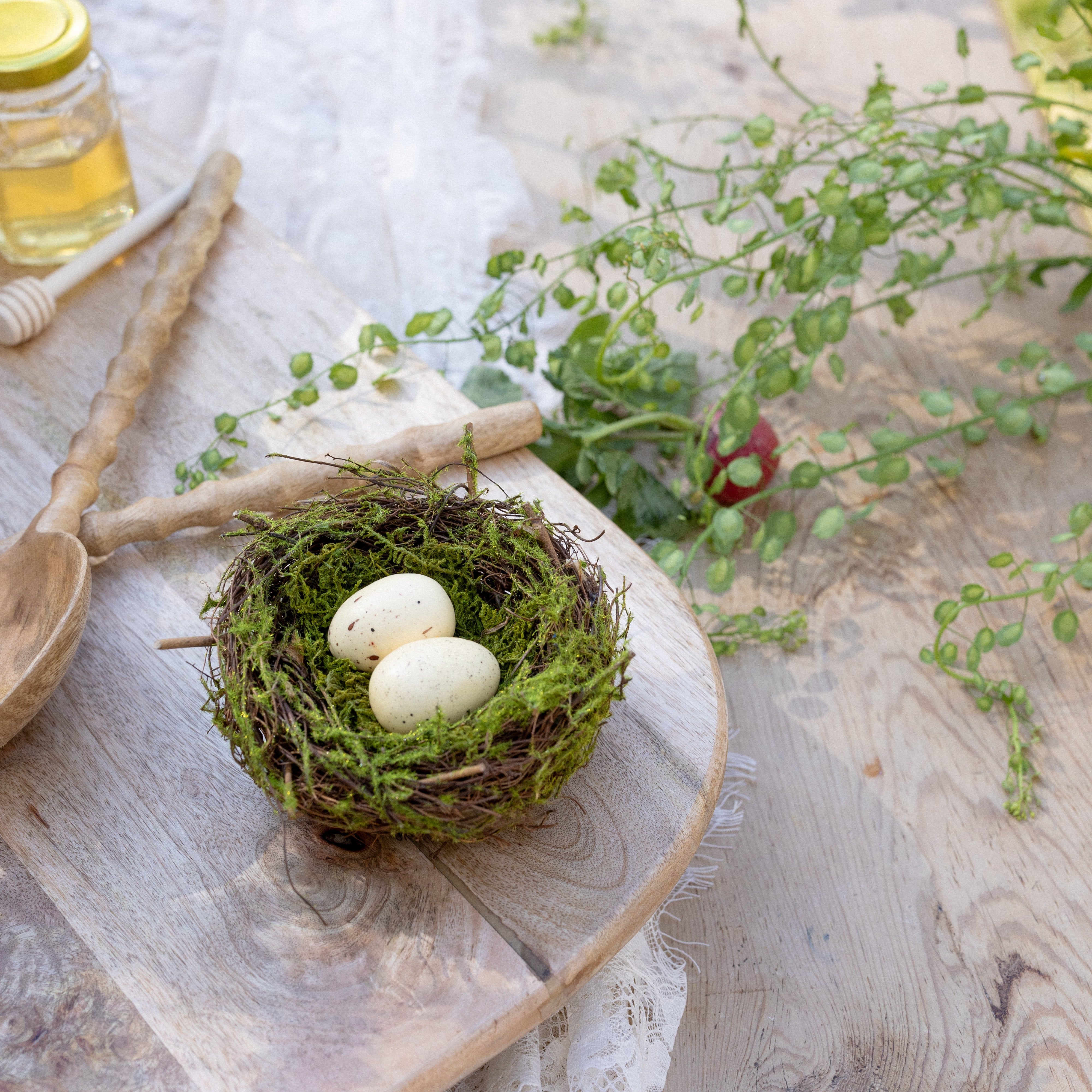 Mossy Bird's Nest