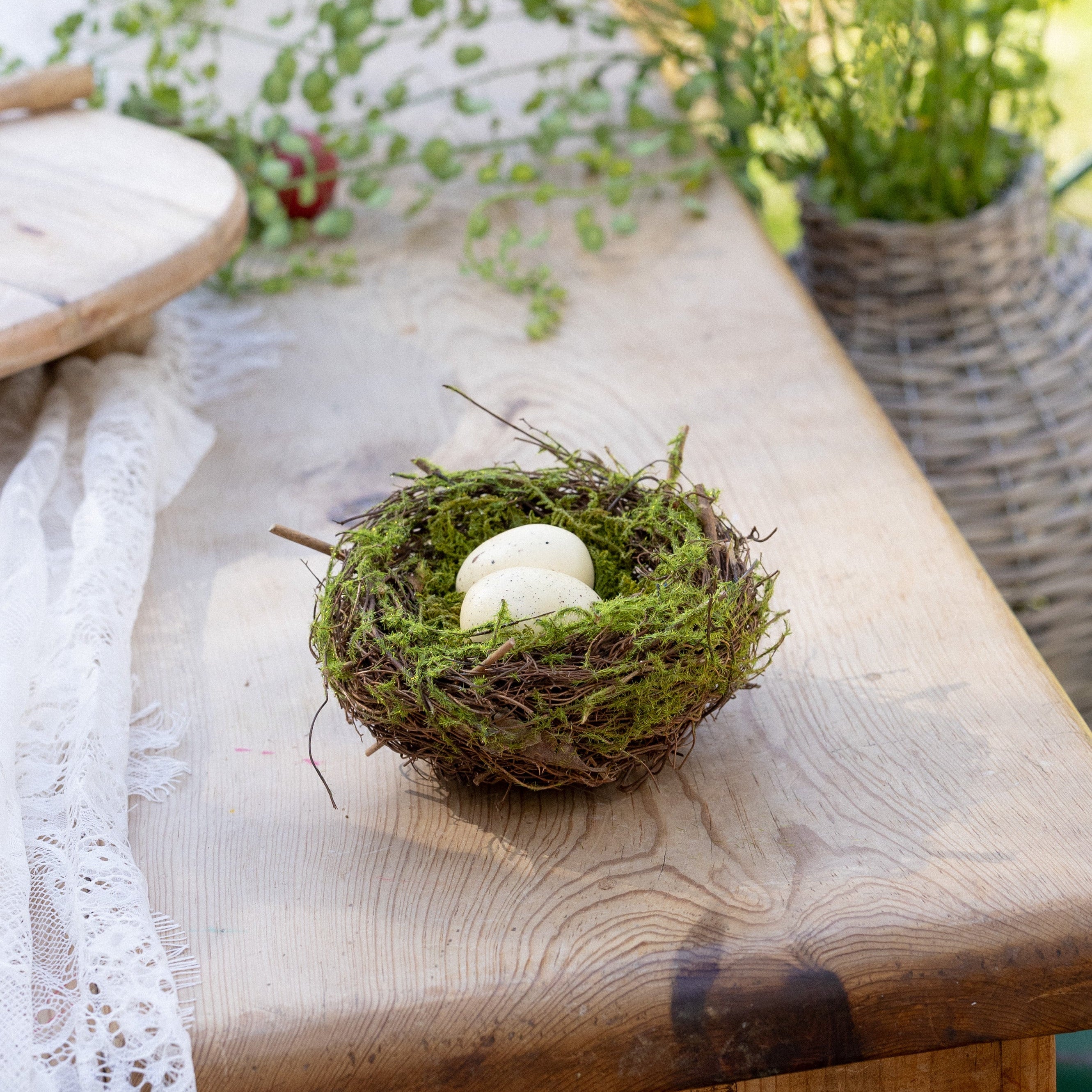 Mossy Bird's Nest