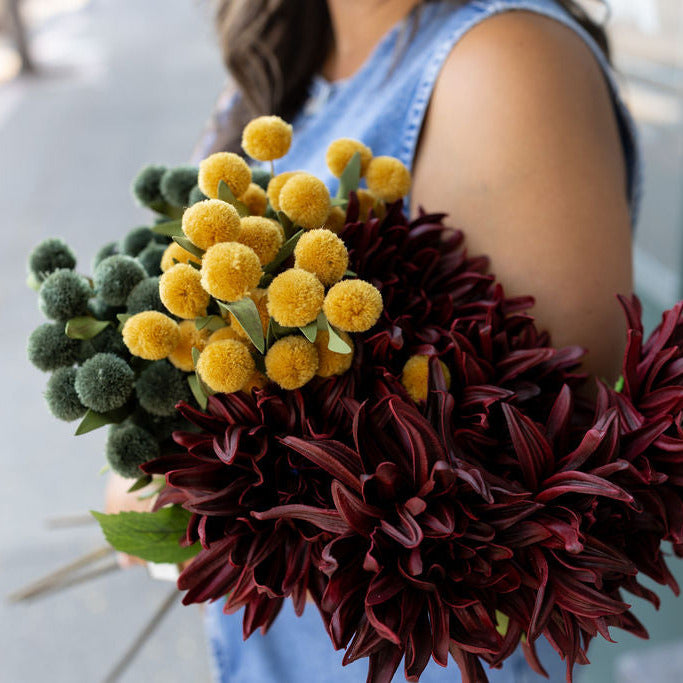 13 in Yellow PomPom Pick