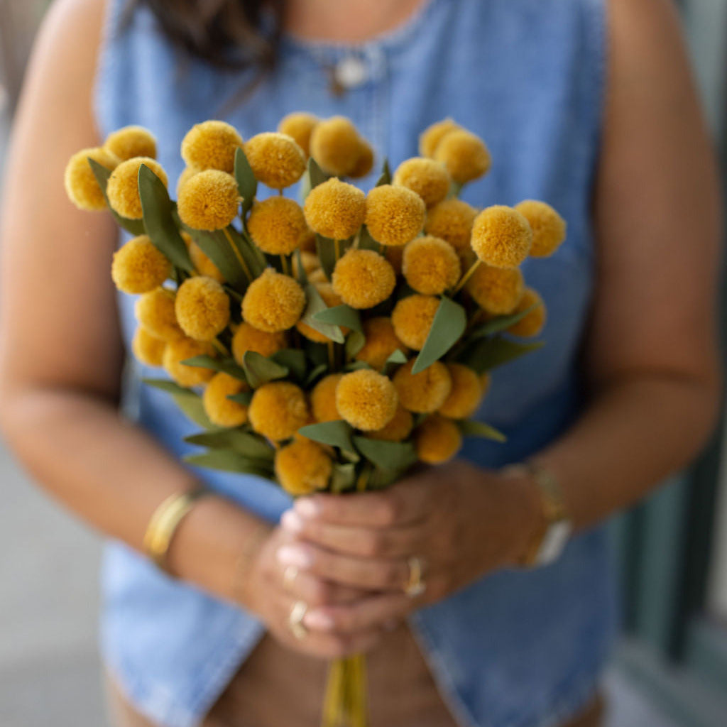 13 in Yellow PomPom Pick